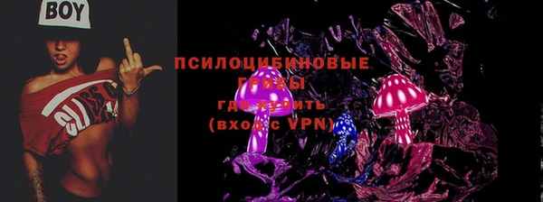 шишки Навашино