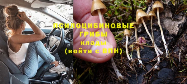 сатива Нефтегорск