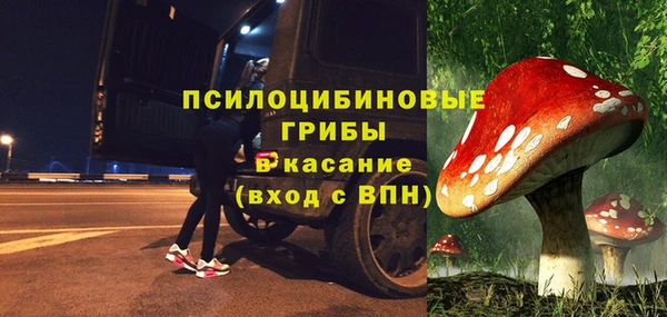 сатива Нефтегорск