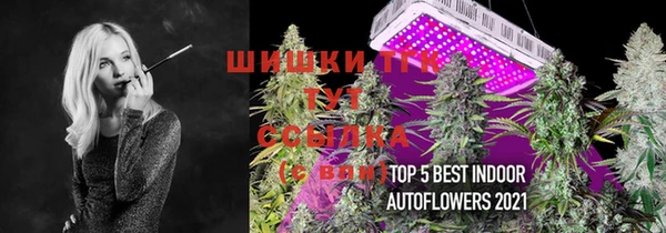 сатива Нефтегорск