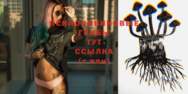 прущий лед Нея
