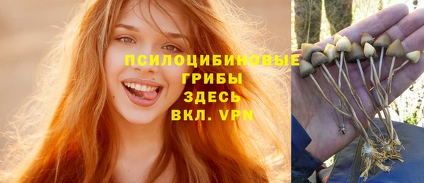 прущий лед Нея
