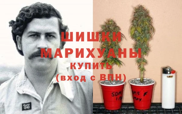 прущий лед Нея