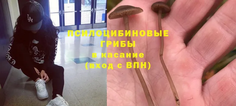 Галлюциногенные грибы MAGIC MUSHROOMS  закладки  гидра ссылка  Миллерово 