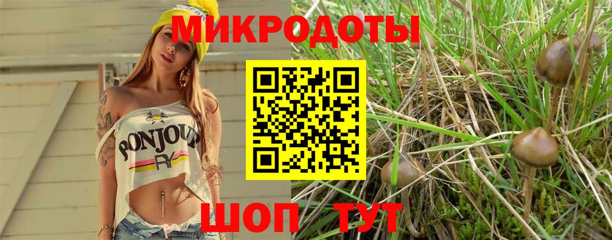 Псилоцибиновые грибы MAGIC MUSHROOMS Миллерово