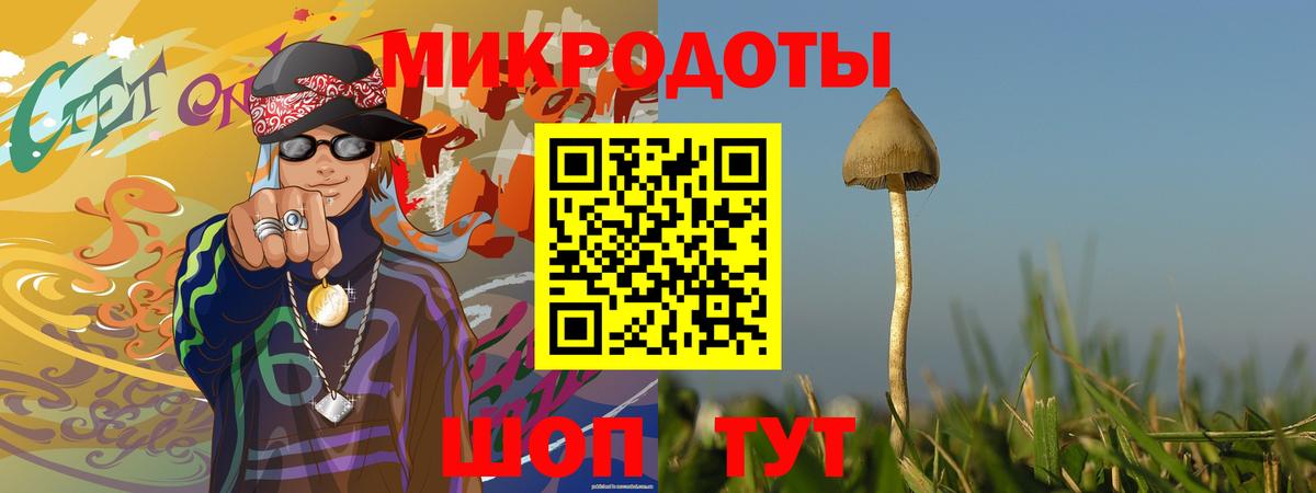 Галлюциногенные грибы MAGIC MUSHROOMS  Вход с VPN  Миллерово  Псилоцибиновые грибы GOLDEN TEACHER 
